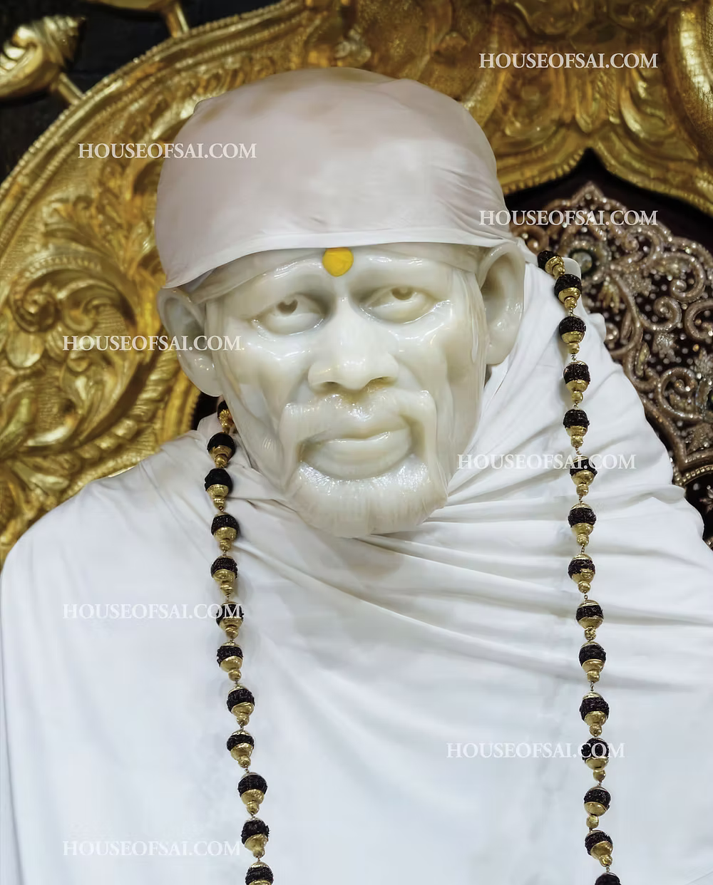 Sri Sai Baba's Idol